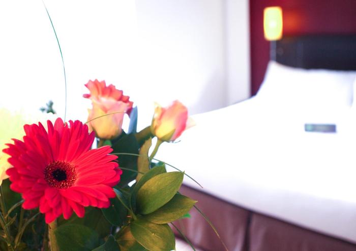 ibis styles nantes centre place royale