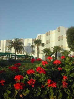 safi