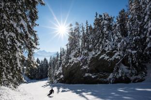 Guarda Golf Hotel & Residences,Chermignon-D'en Haut>>Anzere,5 star