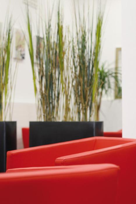 alcatraz hotel am japanischen garten