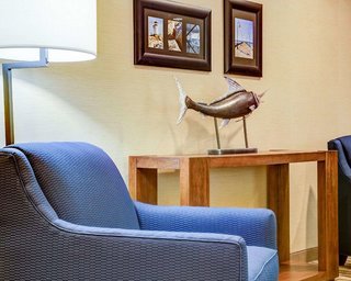 quality inn florence