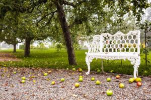 recks hotel restaurant