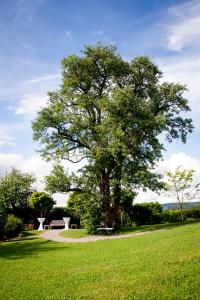 recks hotel restaurant