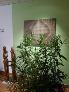 city hotel aschersleben