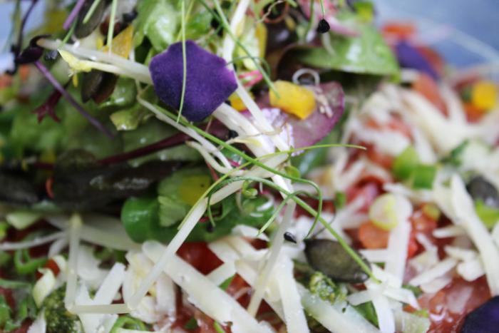 mittlers restaurant hotel