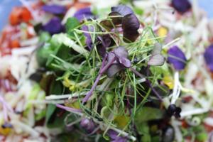 mittlers restaurant hotel