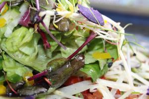 mittlers restaurant hotel