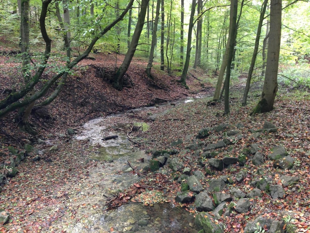 waldhotel porta westfalica garni