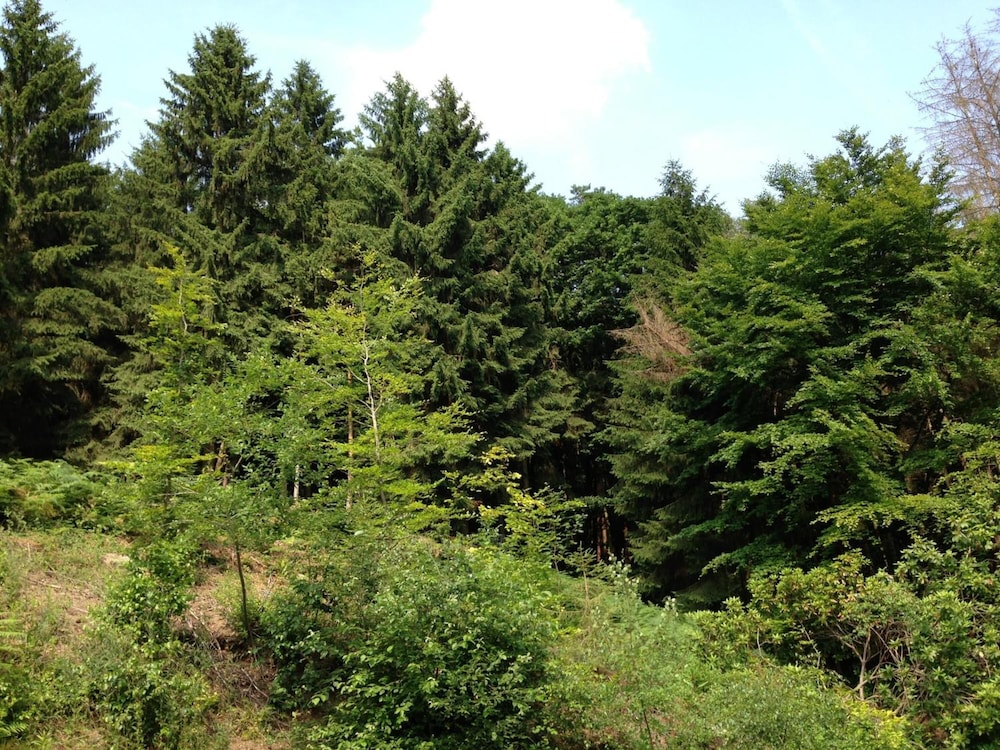 waldhotel porta westfalica garni