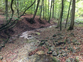 waldhotel porta westfalica garni