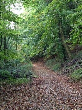 waldhotel porta westfalica garni