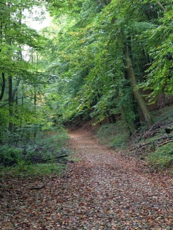 Waldhotel Porta Westfalica Garni,Minden-Lübbecke>>Bad Oeynhausen,3 star