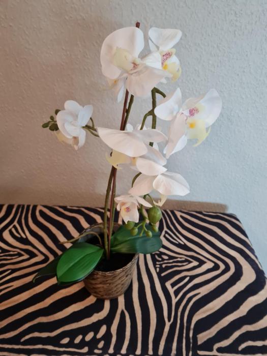 ferienwohnungen abendsonne