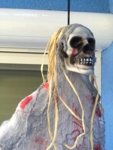 ferienwohnungen abendsonne