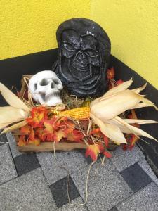 ferienwohnungen abendsonne