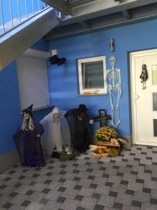 ferienwohnungen abendsonne