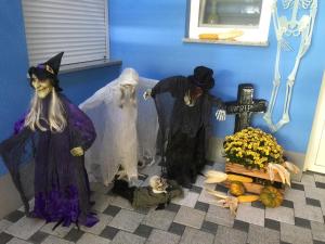 ferienwohnungen abendsonne