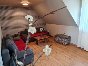 ferienwohnungen abendsonne