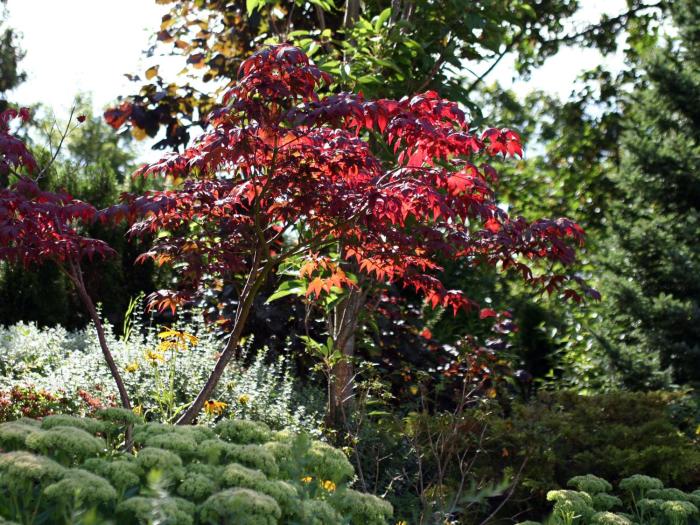 hotel garni in der breite