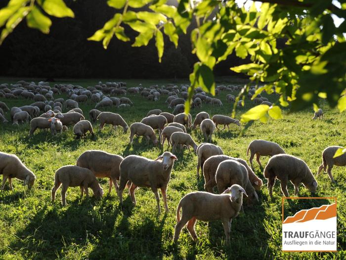 hotel garni in der breite