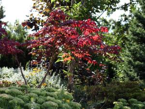 hotel garni in der breite