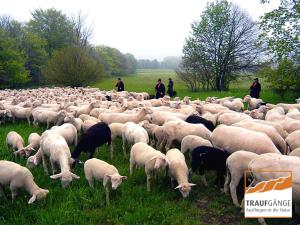 hotel garni in der breite