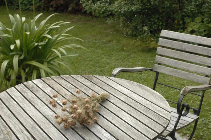 das hotel am alten park