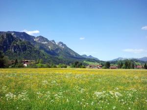 inzell