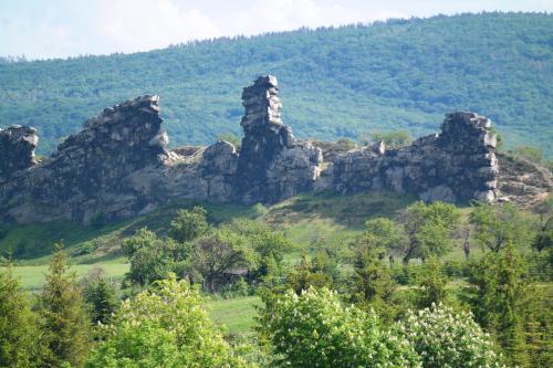 harzhotel warnstedter krug