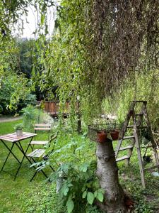 harzhotel warnstedter krug