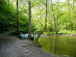 Hotel Im Wald Heiderhof,,3 star