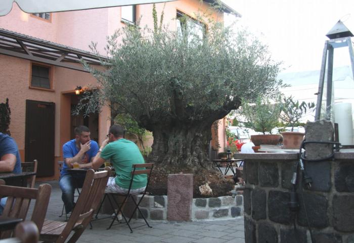 hotel gasthof gruener wald