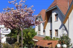 hotel restaurant zum reussenstein