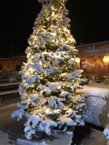 sportalm gipfelgluck