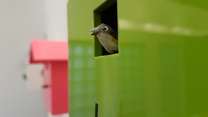 restaurant hotel zum storchen