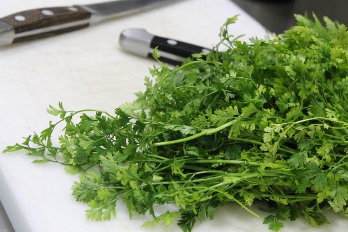 restaurant hotel zum storchen