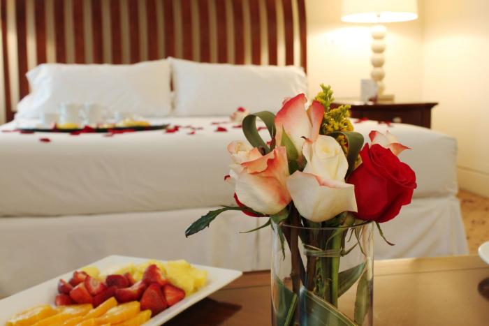 hotel torremayor lyon