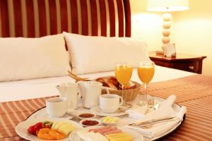 hotel torremayor lyon