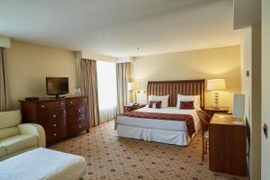 hotel torremayor lyon