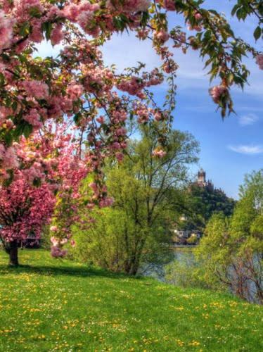 hotel zur kupferkanne