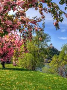 hotel zur kupferkanne