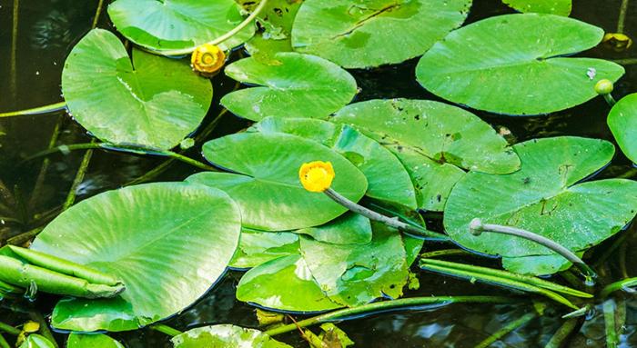 bruck in der oberpfalz