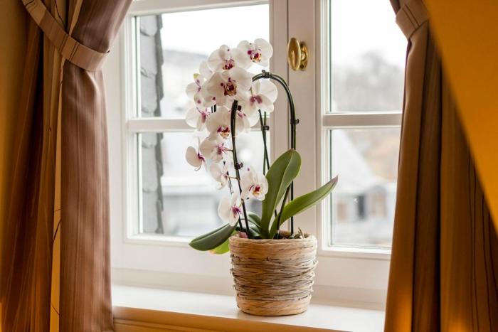 hotel ratskeller schwarzenberg