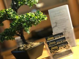 hotel and restaurant europa