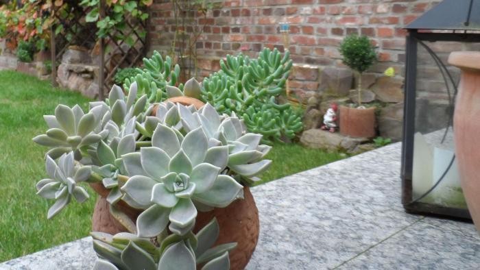 am weyerhof hotel und ferienwohnung