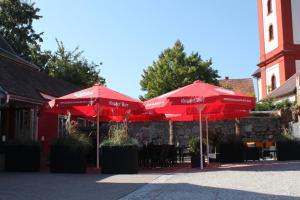 freiburg im breisgau