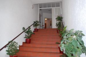 fair hotel frankfurt nassauer hof