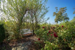 seehotel grossraeschen