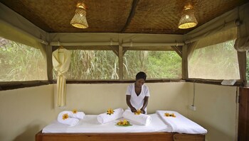 silverback lodge