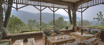 silverback lodge